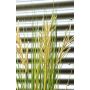 Canna cinese artificiale WASDIN con pannocchie, verde-beige, 125 cm