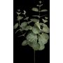 Ramo artificiale di eucalipto ERINDALS, verde-grigio, 60 cm