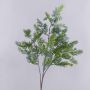 Ramo decorativo di tuia BIRLAF, verde-grigio, 85cm