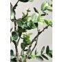 Ramo artificiale eucalipto NEKFAR, verde-grigio, 60 cm