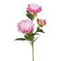 Ramo di fiori artificiali peonia SLORMEK, rosa-bianco, 65 cm