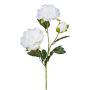 Ramo di fiori artificiali peonia SLORMEK, bianco, 65 cm
