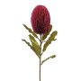 Fiore artificiale Banksia robur BRAGEK, rosso bordeaux, 65 cm