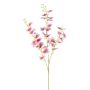 Ramo di fiori artificiali Oncidium Orchidea SLINBER, rosa-bianco, 90 cm