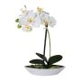 Orchidea artificiale Phalaenopsis ORWAN, vaso decorativo, radici, bianco, 30 cm