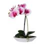 Orchidea artificiale Phalaenopsis ORWAN, vaso decorativo, radici, bianco-lilla, 30 cm