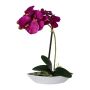 Orchidea artificiale Phalaenopsis ORWAN, vaso decorativo, radici, viola, 30 cm