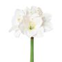 Fiore artificiale amarillide MIKUN, bianco, 55 cm
