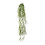 Pianta succulenta artificiale Rhipsalis WUNKE, cespugliosa, bastoncino, pendente, verde, 60 cm