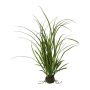 Erba artificiale canna palustre JOLPA in zolla, radici, verde, 55 cm