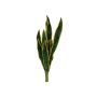 Schiuma plastica Sansevieria trifasciata CADENCE, verde-giallo, 60cm