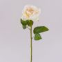 Rosa artificiale WINAKAS, crema-albicocca, 35cm, Ø10cm