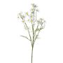 Ramo decorativo camomilla WISOP, bianco, 75 cm