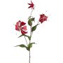 Ramo decorativo Gloriosa LISUPY, rosso rubino-oro, 80 cm