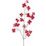 Ramo decorativo corniolo HISOP, rosso rubino, 85cm
