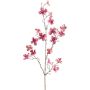 Ramo decorativo corniolo HISOP, rosa scuro, 85 cm