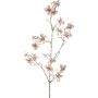 Ramo decorativo corniolo HISOP, beige, 85cm