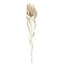 Fiore decorativo cuscino per spilli Protea LAWARE, crema, 75 cm