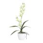 Orchidea artificiale Dendrobium Sonia NELTI, vaso in ceramica, radici, verde chiaro, 60cm