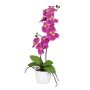 Fiore decorativo orchidea Phalaenopsis MORLEK, vaso in ceramica, radici, rosa, 60 cm