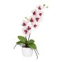 Fiore decorativo orchidea Phalaenopsis MORLEK, vaso in ceramica, radici, bianco-lilla, 60 cm