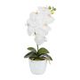 Fiore decorativo orchidea Phalaenopsis DRINTOR, vaso di ceramica, radici, bianco, 40 cm