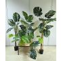 Pianta artificiale Philodendron monstera deliciosa CUNKYN in vaso decorativo, 60 cm