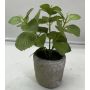 Pianta artificiale menta POLINDA in vaso decorativo, verde, 26 cm