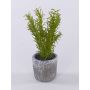 Pianta artificiale rosmarino POLINDA in vaso decorativo, verde, 26 cm