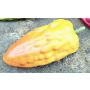Frutta decorativa frutto del cacao FORDIHAN, giallo-arancio, 13 cm