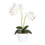 Fiore decorativo orchidea Phalaenopsis FRUXO, vaso in ceramica, radici, bianco, 50cm