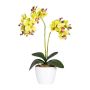 Fiore decorativo orchidea Phalaenopsis FRUXO, vaso in ceramica, radici, verde, 50cm