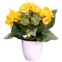 Fiore artificiale begonia SYLINA, vaso decorativo bianco, giallo, 25 cm