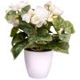 Fiore artificiale begonia SYLINA, vaso decorativo bianco, crema, 25 cm