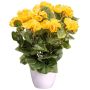 Fiore artificiale Begonia SYLINA, vaso decorativo bianco, giallo, 35 cm
