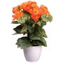 Fiore artificiale Begonia SYLINA, vaso decorativo bianco, arancione, 35 cm