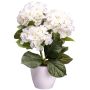 Fiore decorativo Ortensia SLORFIN in vaso decorativo bianco, bianco, 30 cm