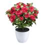 Fiore artificiale azalea WHENFA in vaso decorativo bianco, rosso, 30 cm