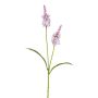 Ramo artificiale di salvia LOHFER, rosa, 65 cm