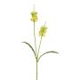 Ramo artificiale di salvia LOHFER, giallo, 65 cm