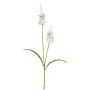 Ramo artificiale di salvia LOHFER, bianco, 65 cm