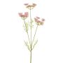 Ramo artificiale di carota selvatica KRAHEN, rosa, 50 cm