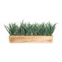 Erba decorativa canna WENMAL in scatola di legno, verde, 52x10x23 cm