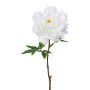 Fiore artificiale peonia GLOUT, bianco, 65 cm