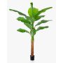 Albero di banano artificiale OMERA, 200 cm