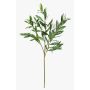Ramo di olivo artificiale BRANDAR, crossdoor, verde, 70 cm