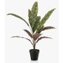 Pianta artificiale Calathea Makoyana WIDO in vaso decorativo, verde-rosso bordeaux, 60 cm