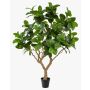Albero della gomma artificiale BAKTIN, tronco artificiale, vaso decorativo, verde, 240 cm