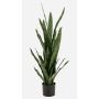 Sansevieria artificiale ELSAWU, verde, 115 cm
