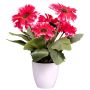 Fiore artificiale Gerbera KROLVEN in vaso decorativo bianco, fucsia, 27 cm